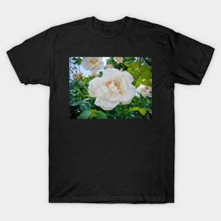 Beautiful White Rose T-Shirt